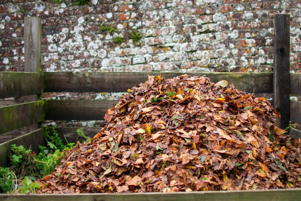 Leaves on a compost heap