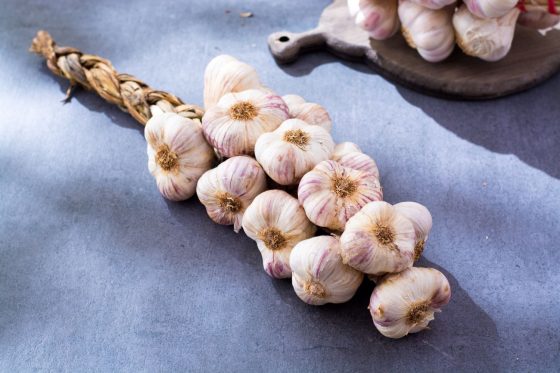 Harvesting garlic: when and how to harvest, preserve & store garlic