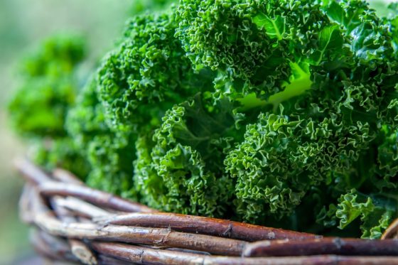 Kale: origin, leaves, flowers & benefits