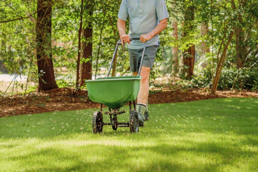 A spreader feeding a lawn