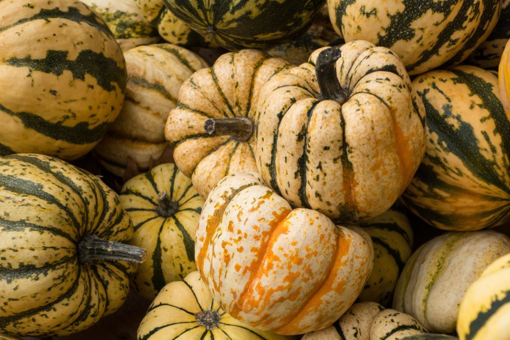 A pile of smaller squashes