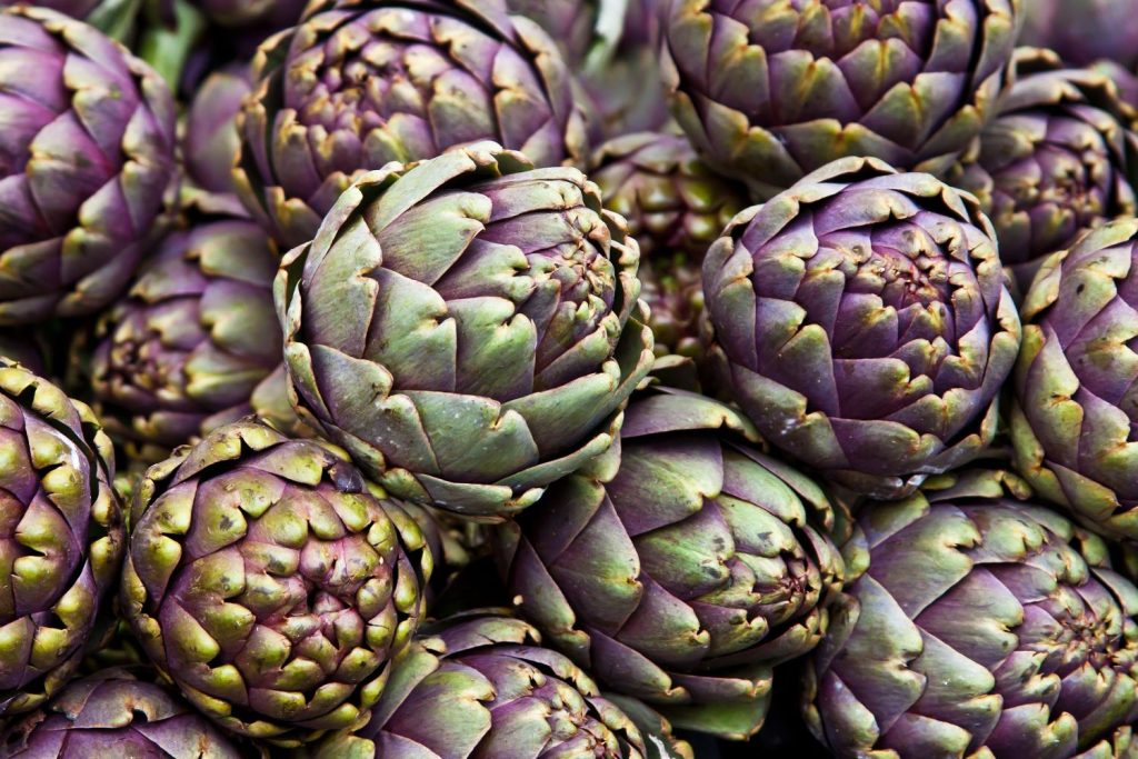 Array of purple artichoke heads