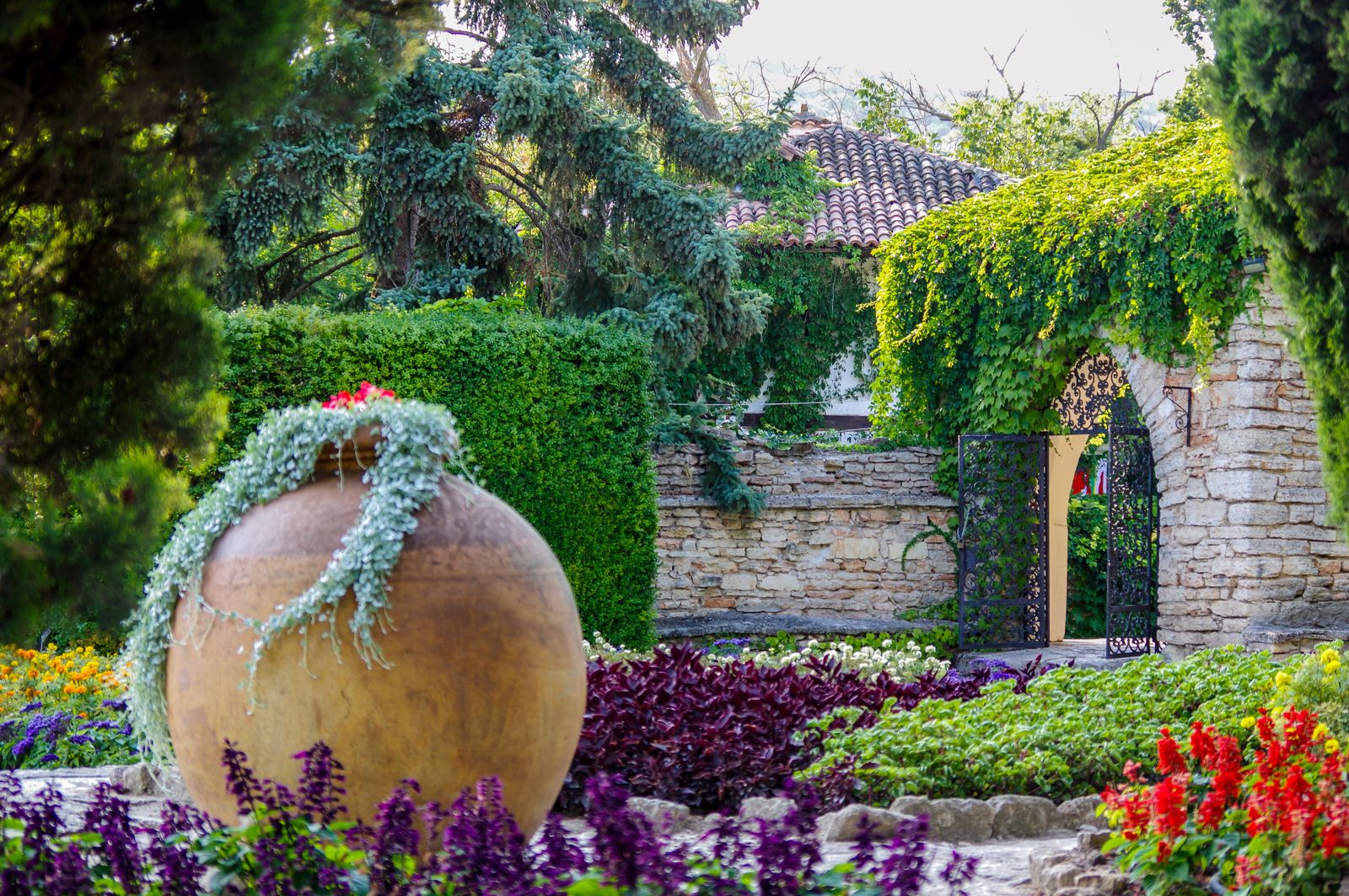 Mediterraner Garten: Die 10 besten Pflanzen für südliches ...