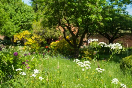 Tierfreundlicher Garten: Wie kann man Tiere im Garten unterstützen?